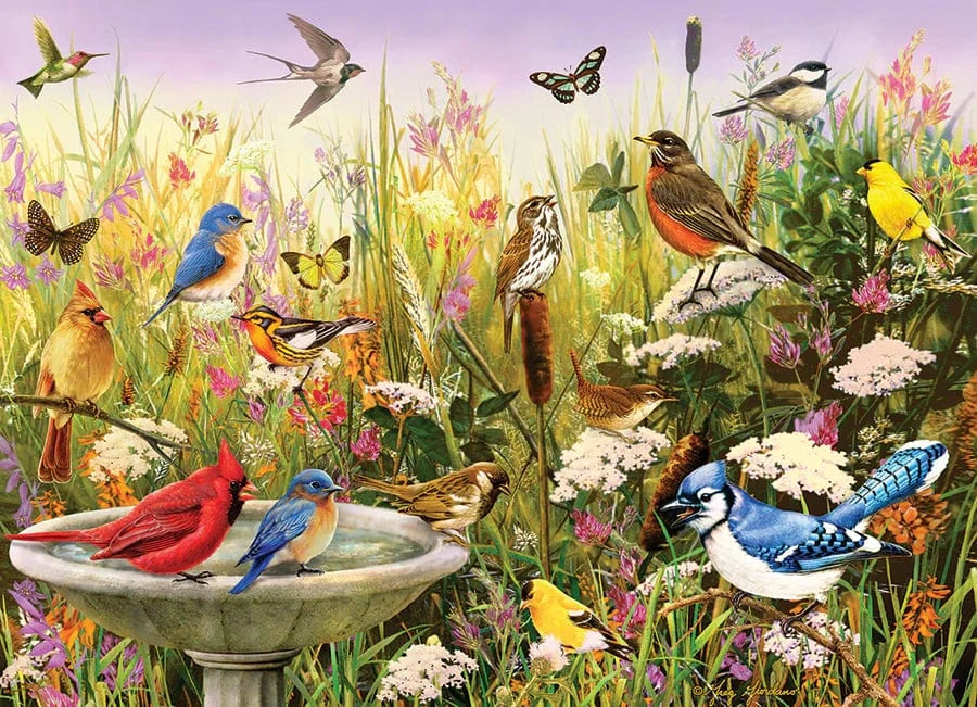 Outset Media Puzzles Feathered Friends Puzzle - 1000 Piece | Cobble Hill