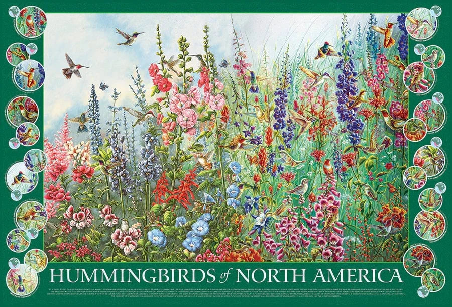 Outset Media Puzzles Hummingbirds of North America Puzzle - 2000 Piece | Cobble Hill