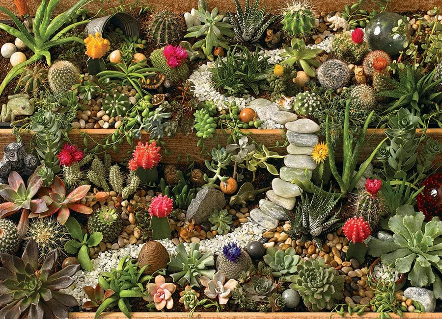 Outset Media Puzzles Succulent Garden Puzzle - 1000 Piece | Cobble Hill