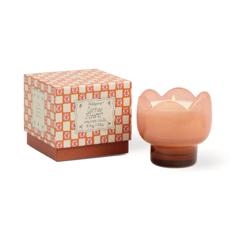 Paddywax Gifts Cactus Flower - Tulip 5.5 oz Candle