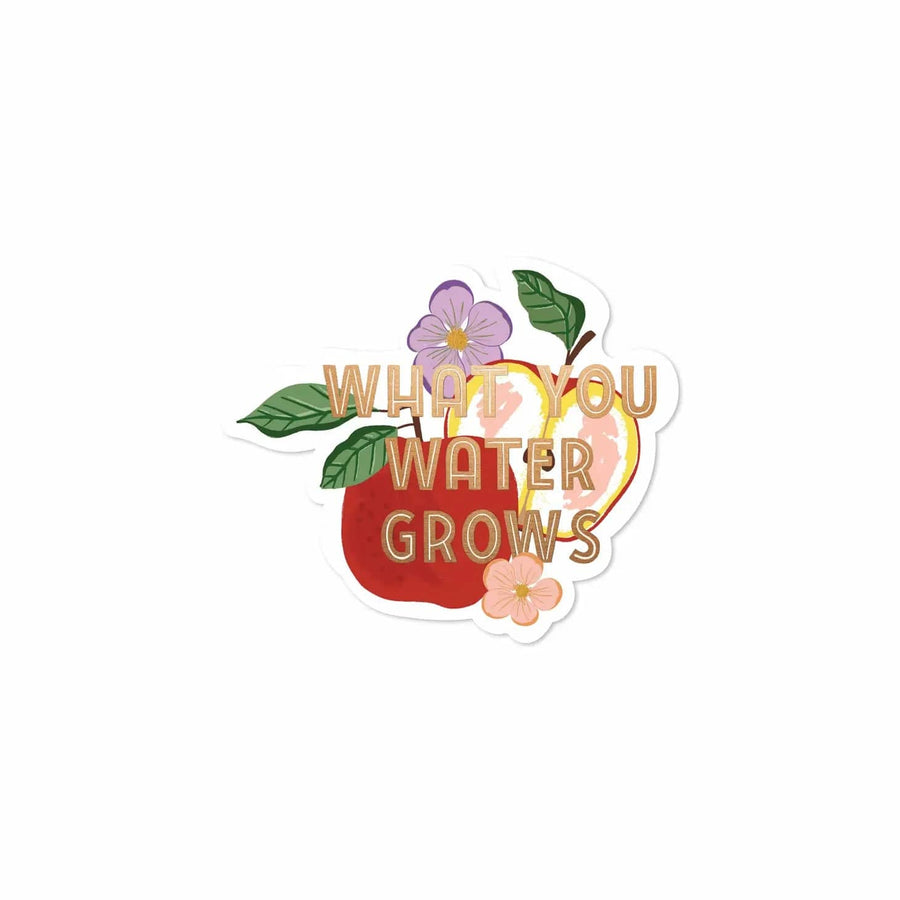 Paper Farm Press Sticker What You Water Grows Sticker