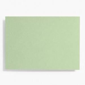 Paper Luxe Paper Goods Eucalyptus A6 Flat Notes - Set of 10
