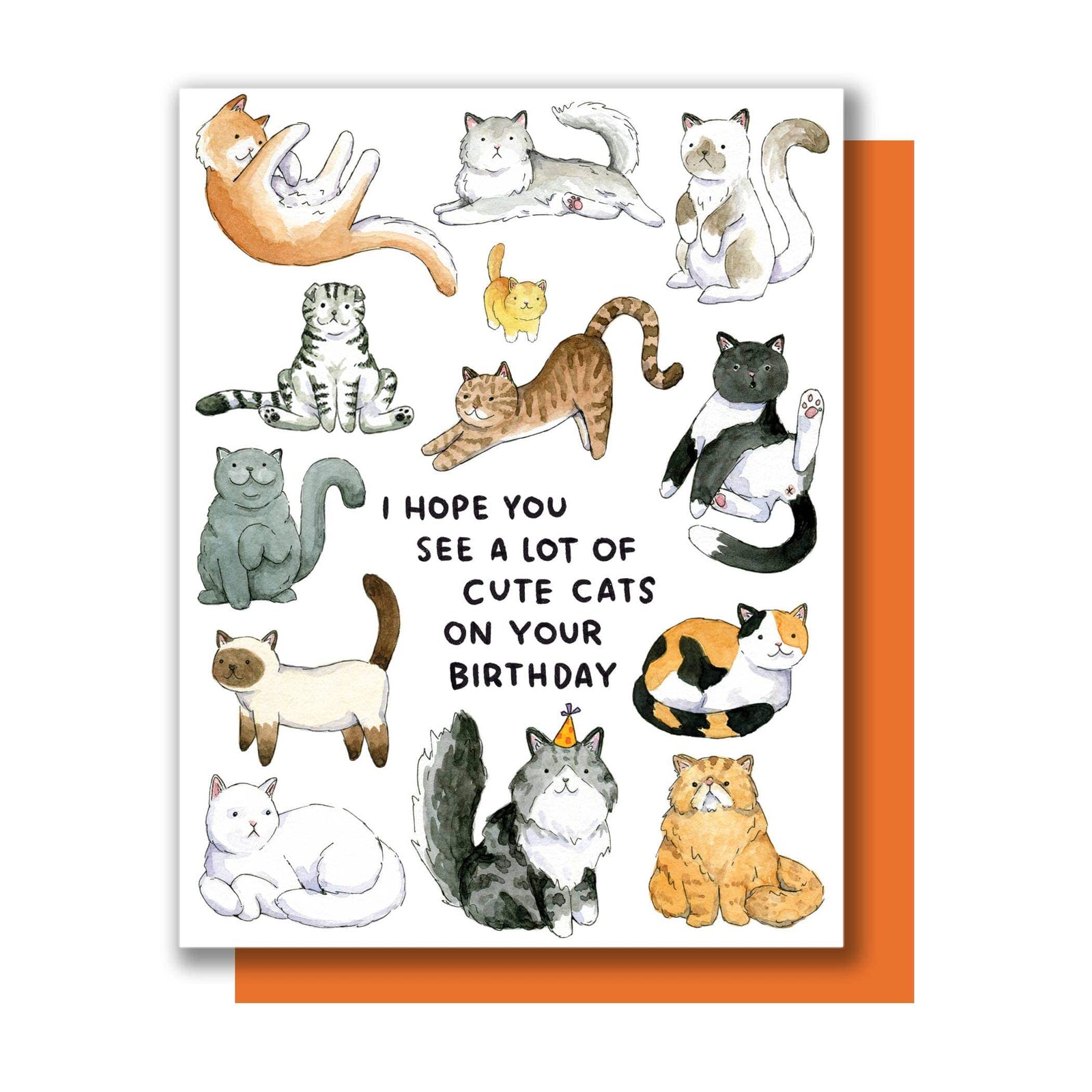 Paper Wilderness Card Hope You See A Lot Of Cute Cats Birthday Card