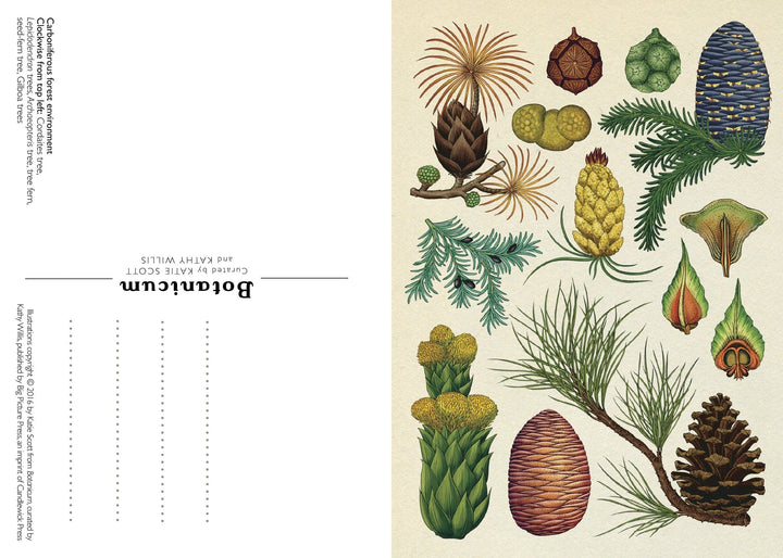 Penguin Random House Botanicum Postcard Box Set