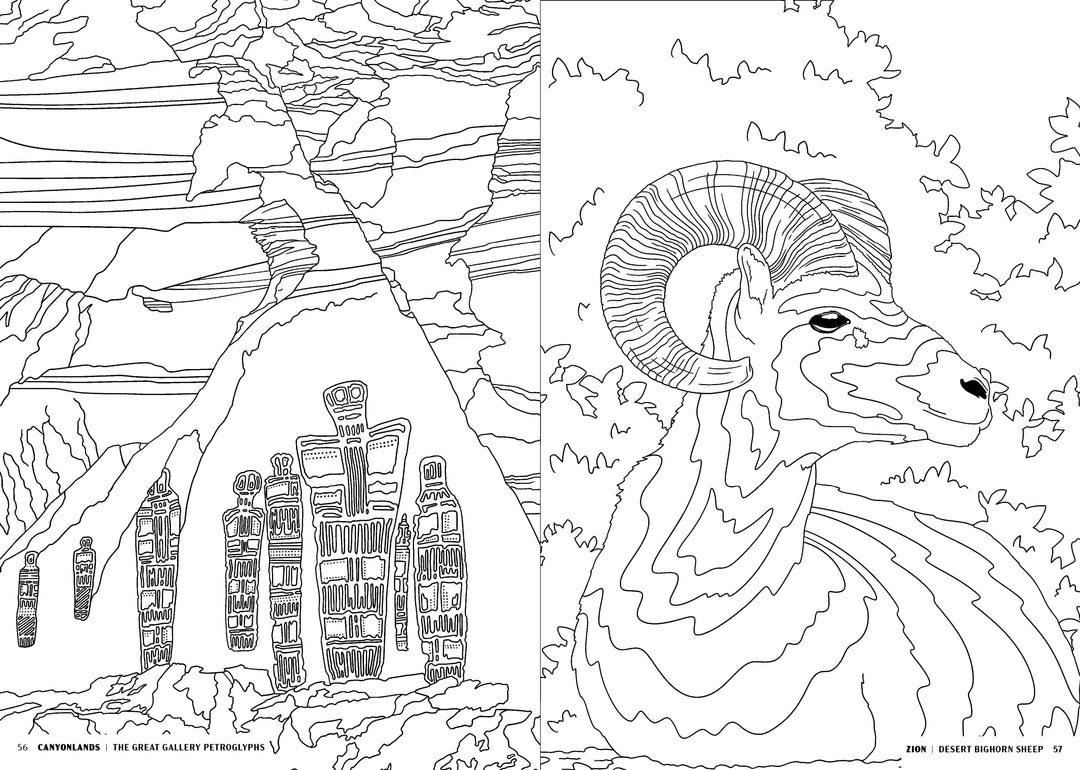 Penguin Random House Coloring Book The National Parks Coloring Book