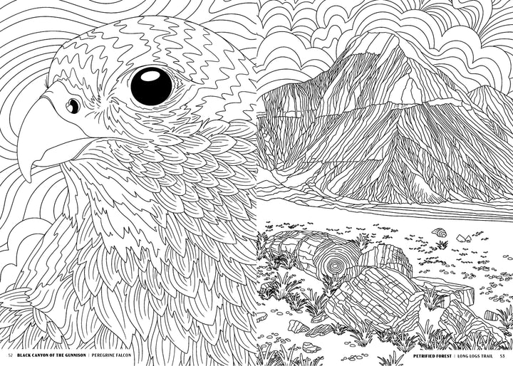 Penguin Random House Coloring Book The National Parks Coloring Book