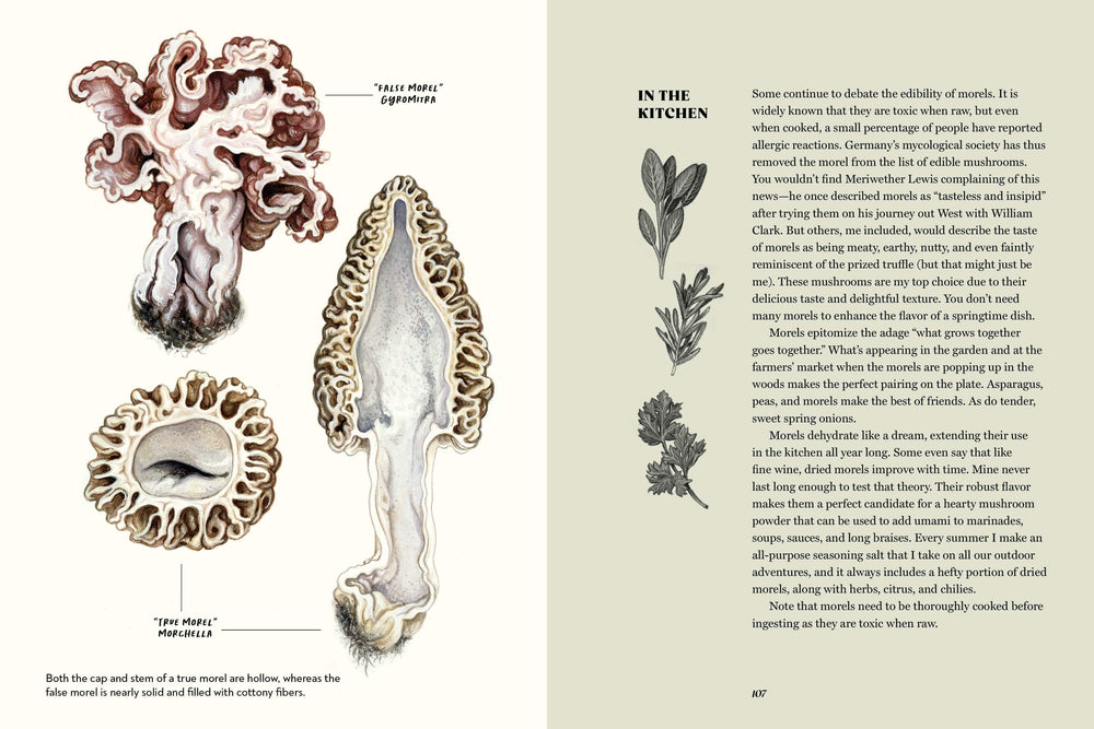 Penguin Random House Cookbook Field Notes from a Fungi Forager