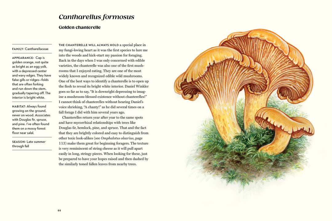 Penguin Random House Cookbook Field Notes from a Fungi Forager