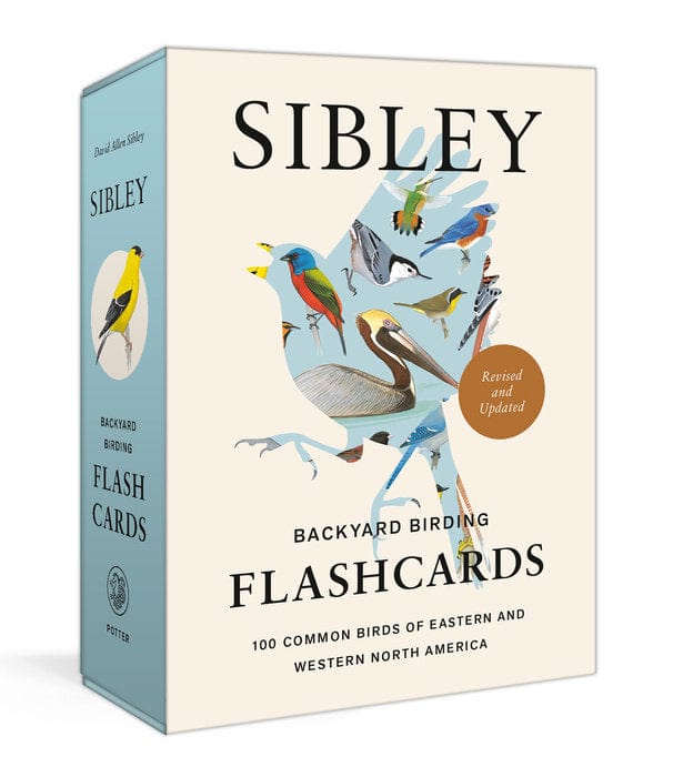 Penguin Random House Flash Cards Sibley Backyard Birding Flashcards, Revised and Updated