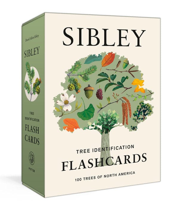 Penguin Random House Flash Cards Sibley Tree Identification Flashcards