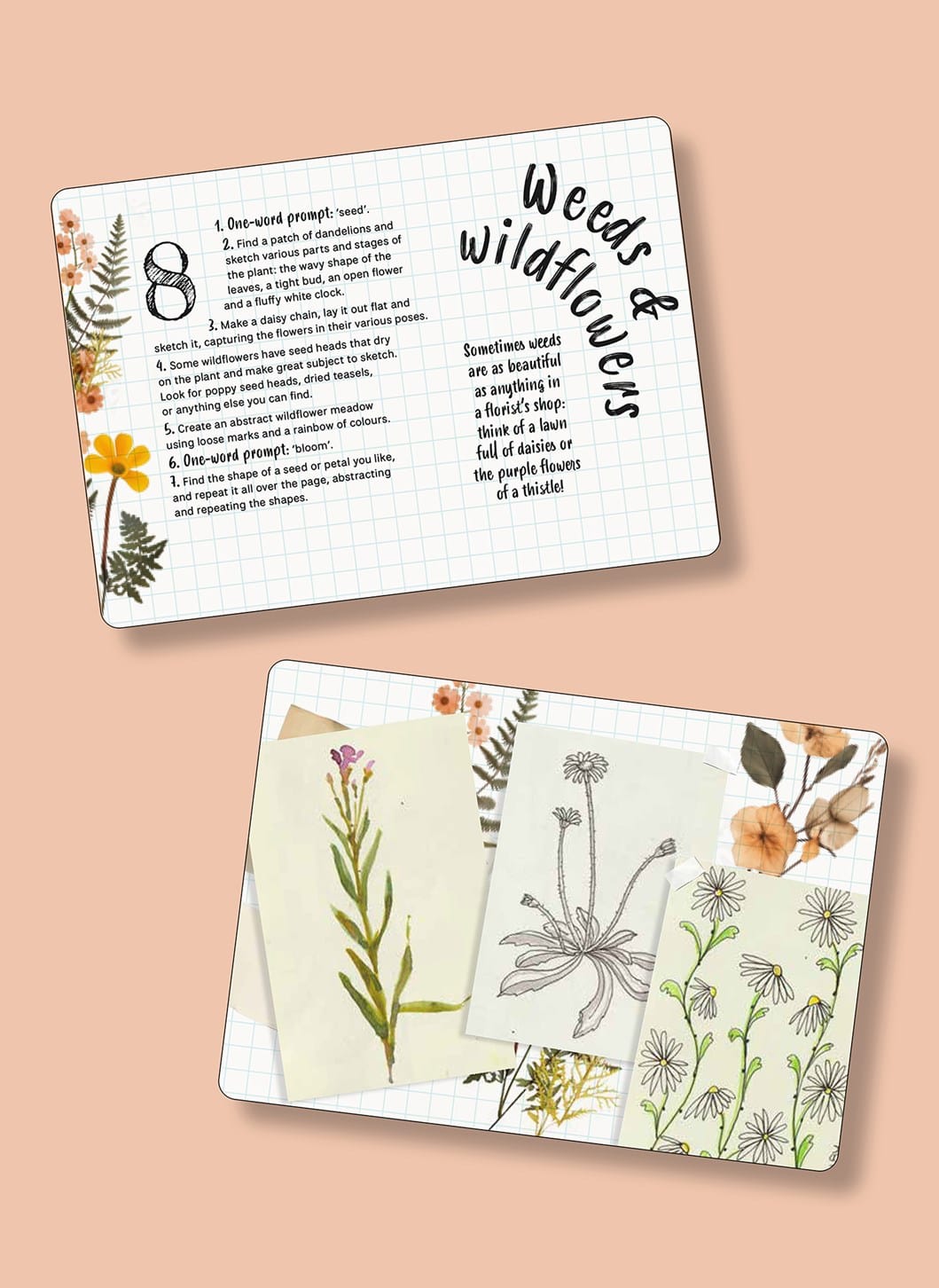 Penguin Random House Gifts The Sketch a Day Card Deck