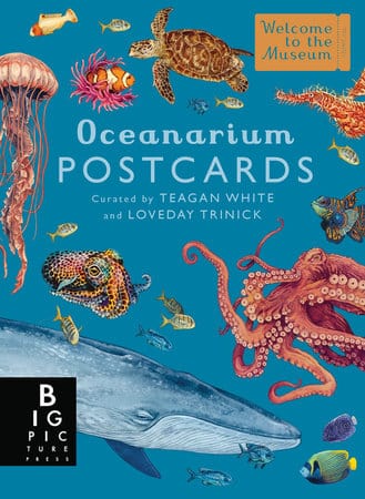 Penguin Random House Paper Oceanarium Postcard Box Set