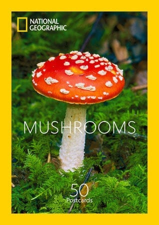 Penguin Random House Postcards Mushrooms Postcards