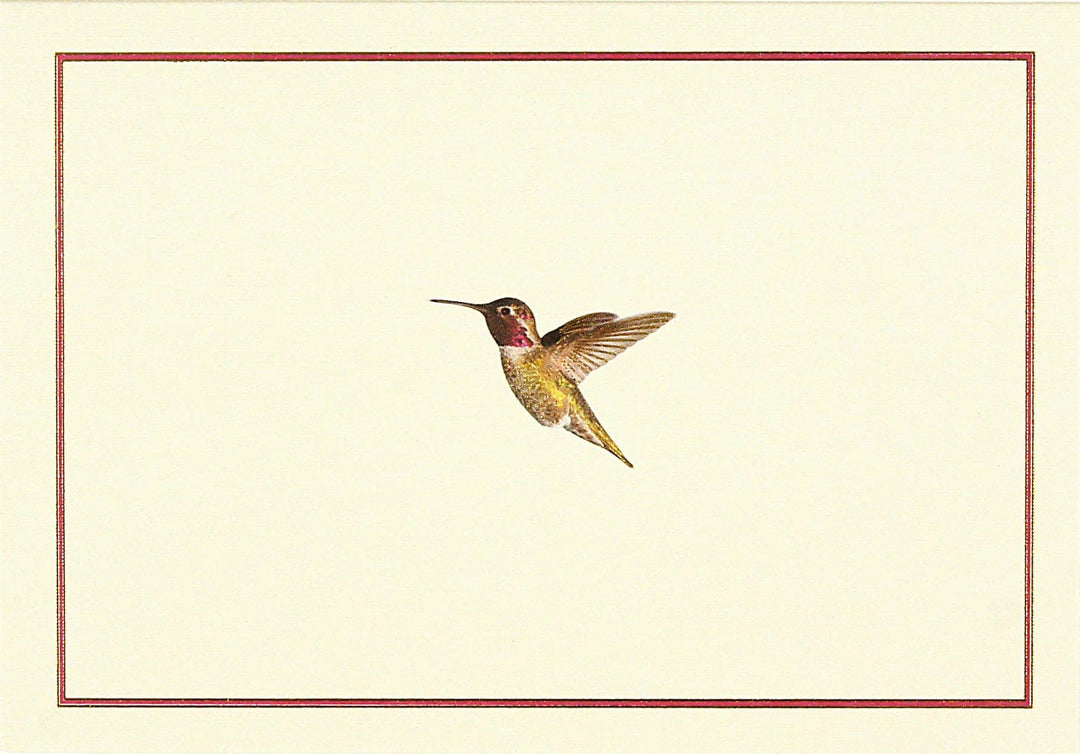 Peter Pauper Press Card Hummingbird Flight Note Cards