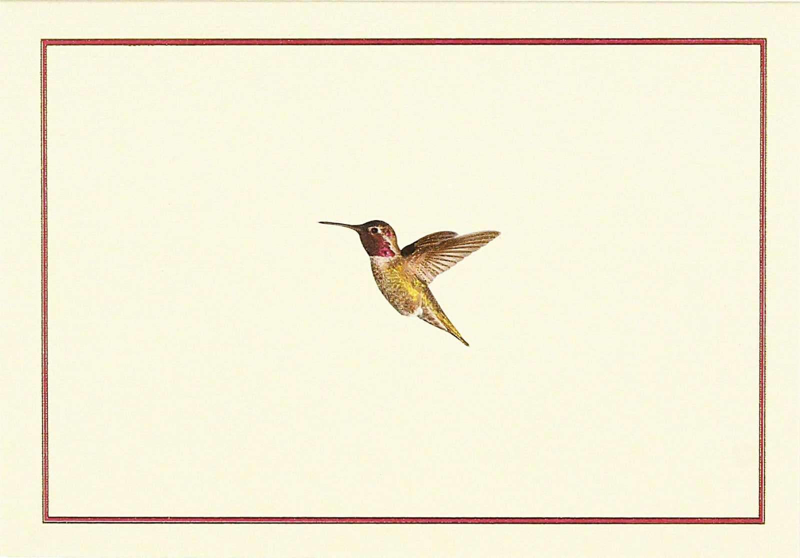 Peter Pauper Press Card Hummingbird Flight Note Cards