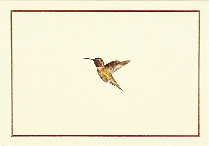 Peter Pauper Press Card Hummingbird Flight Note Cards