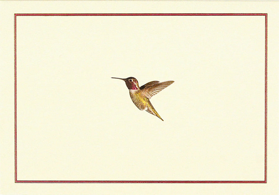 Peter Pauper Press Card Hummingbird Flight Note Cards