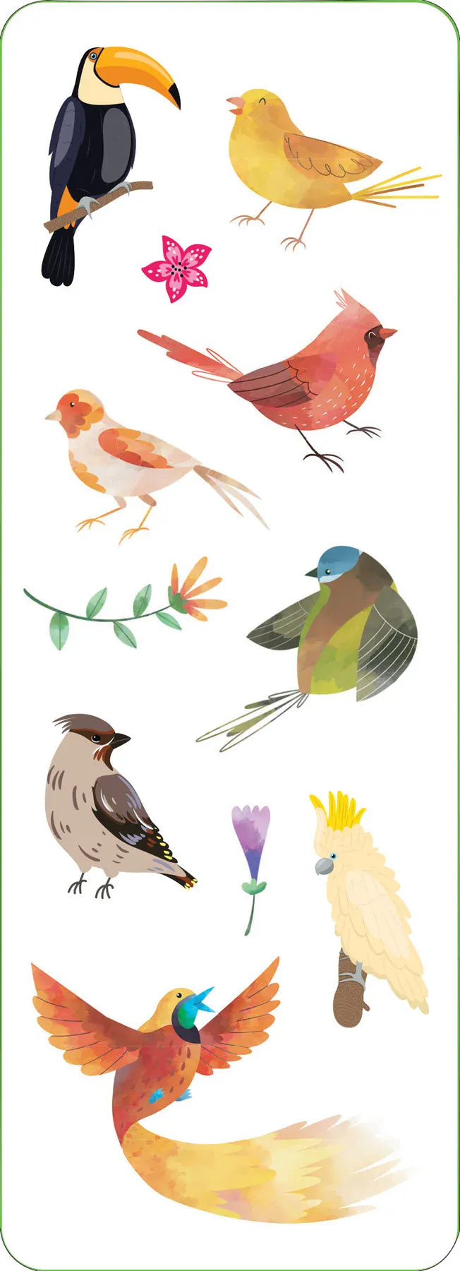 Peter Pauper Press Cards Birds Sticker Set