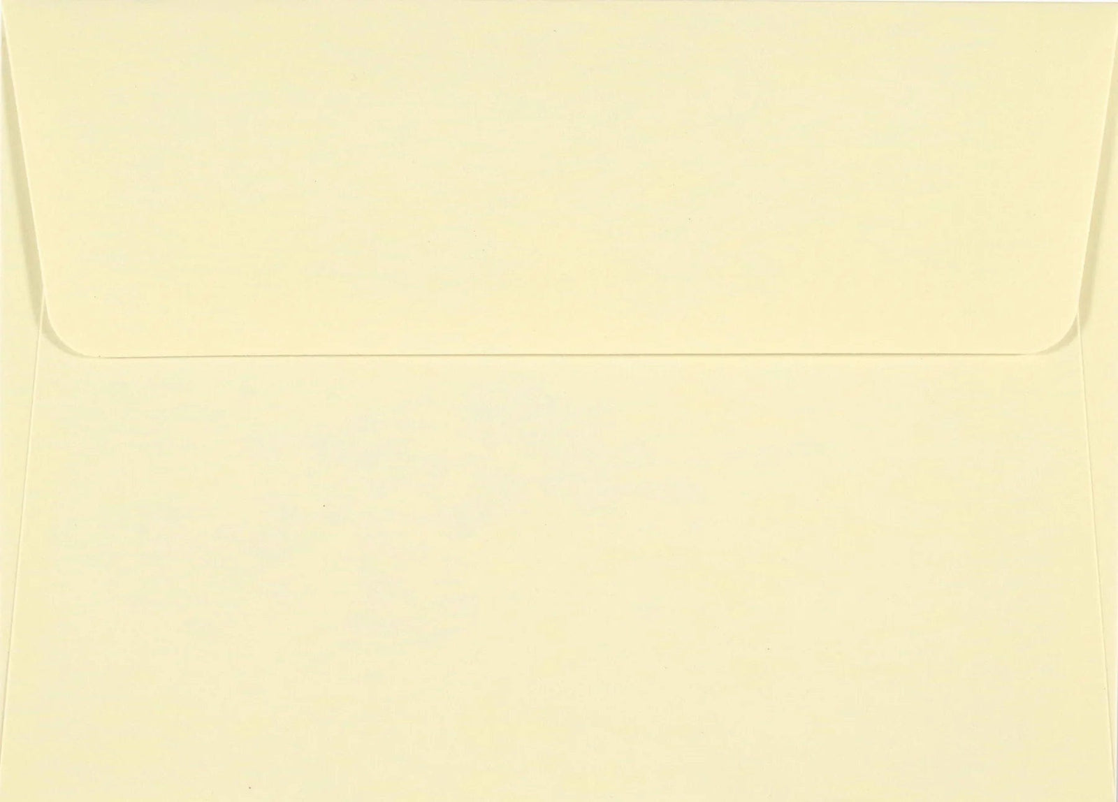 Peter Pauper Press Note Cards Dandelion Wishes Thank You Notes