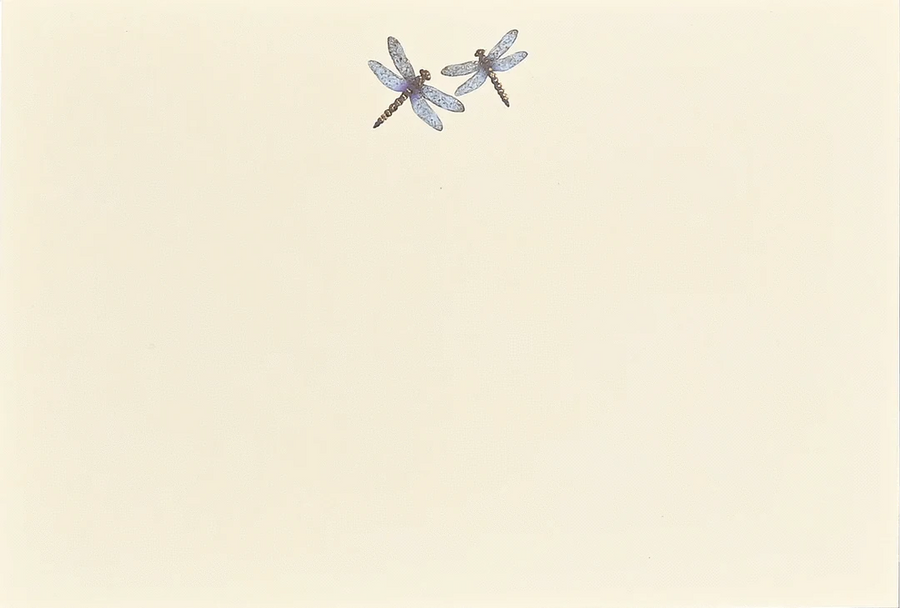 Peter Pauper Press Paper Blue Dragonflies Correspondence Cards