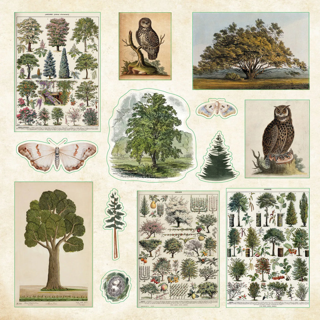 Peter Pauper Press Paper Enchanted Forest Sticker Book