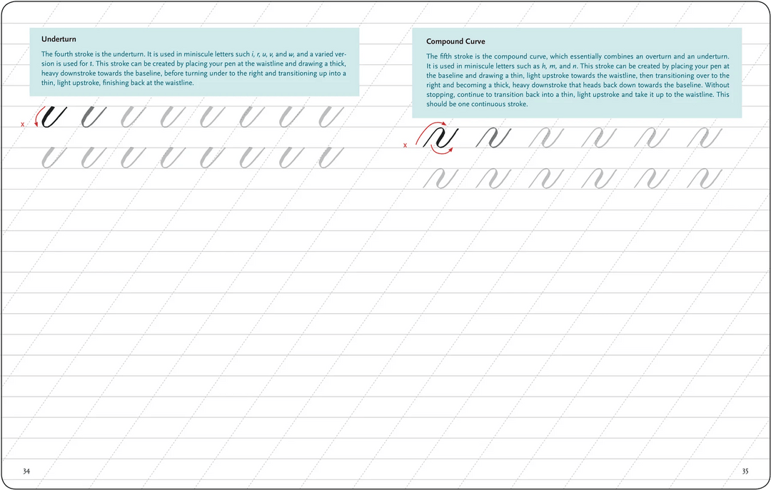 Peter Pauper Press Workbook Brush Lettering from A to Z