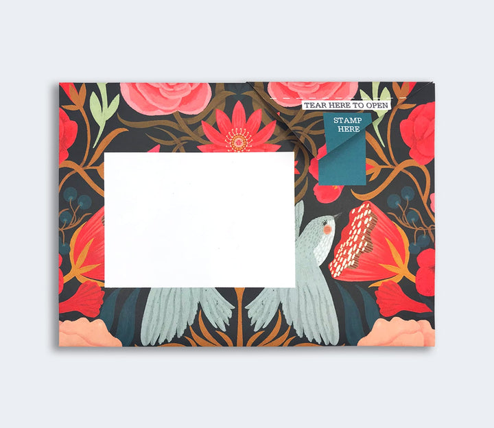 Pigeon Boxed Card Set Bright & Beautiful Pigeon Packs