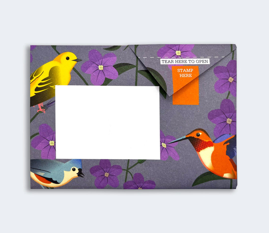 Pigeon Boxed Card Set Carnival of Colour Pigeon Packs