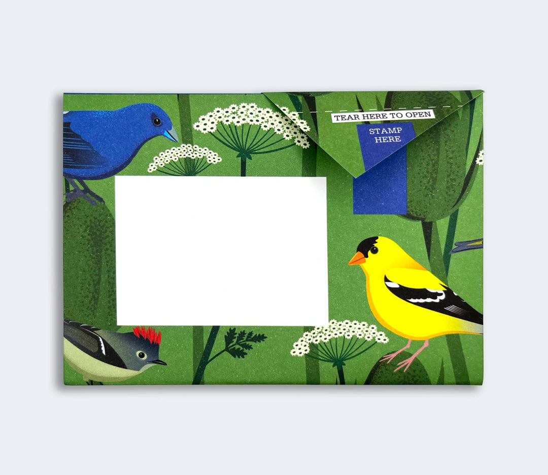 Pigeon Boxed Card Set Carnival of Colour Pigeon Packs