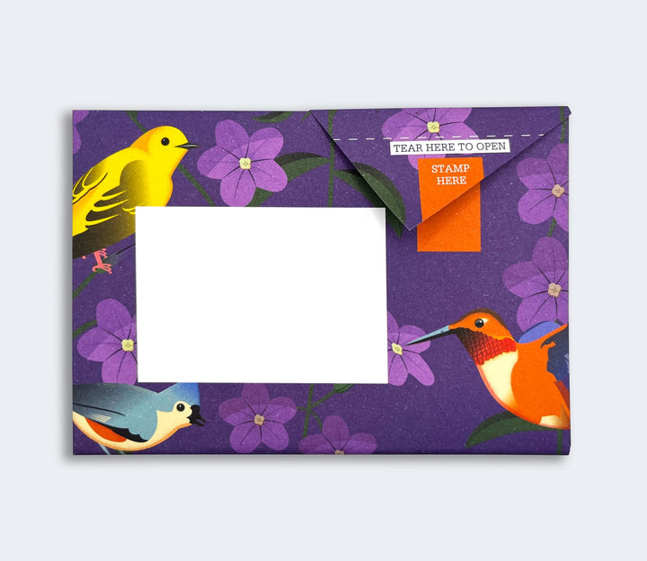 Pigeon Boxed Card Set Carnival of Colour Pigeon Packs