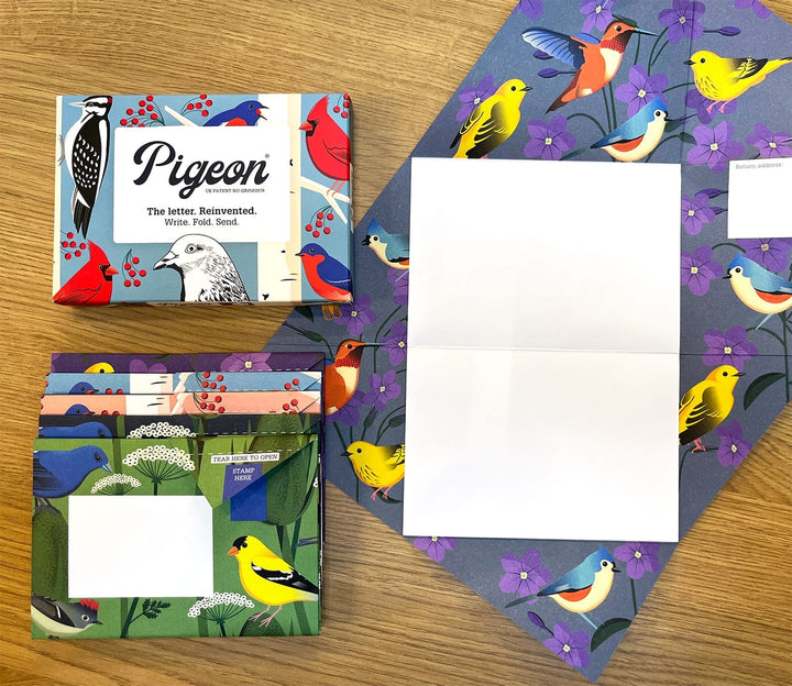 Pigeon Boxed Card Set Carnival of Colour Pigeon Packs