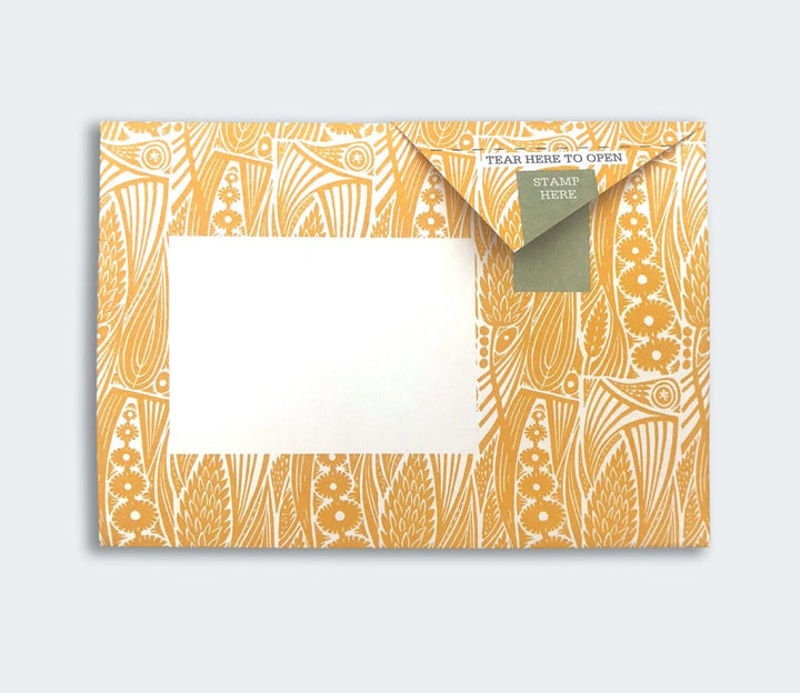 Pigeon Boxed Card Set Nature Study Pigeon Packs