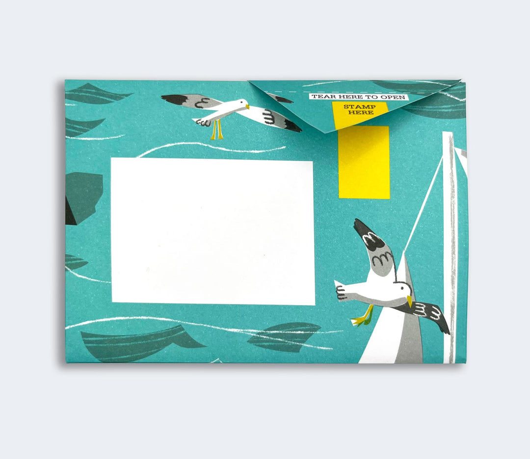 Pigeon Boxed Card Set Safe Harbour Pigeon Packs