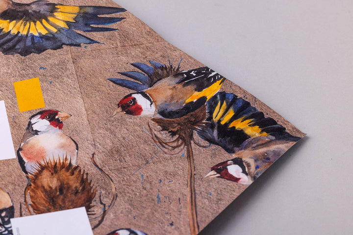 Pigeon Cards Golden Flight Pigeon, Folding Letter Set – Pack of 6 Letters