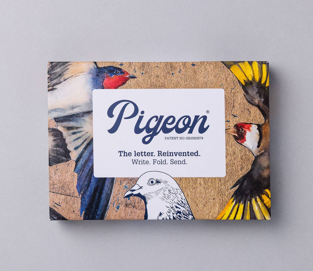 Pigeon Cards Golden Flight Pigeon, Folding Letter Set – Pack of 6 Letters