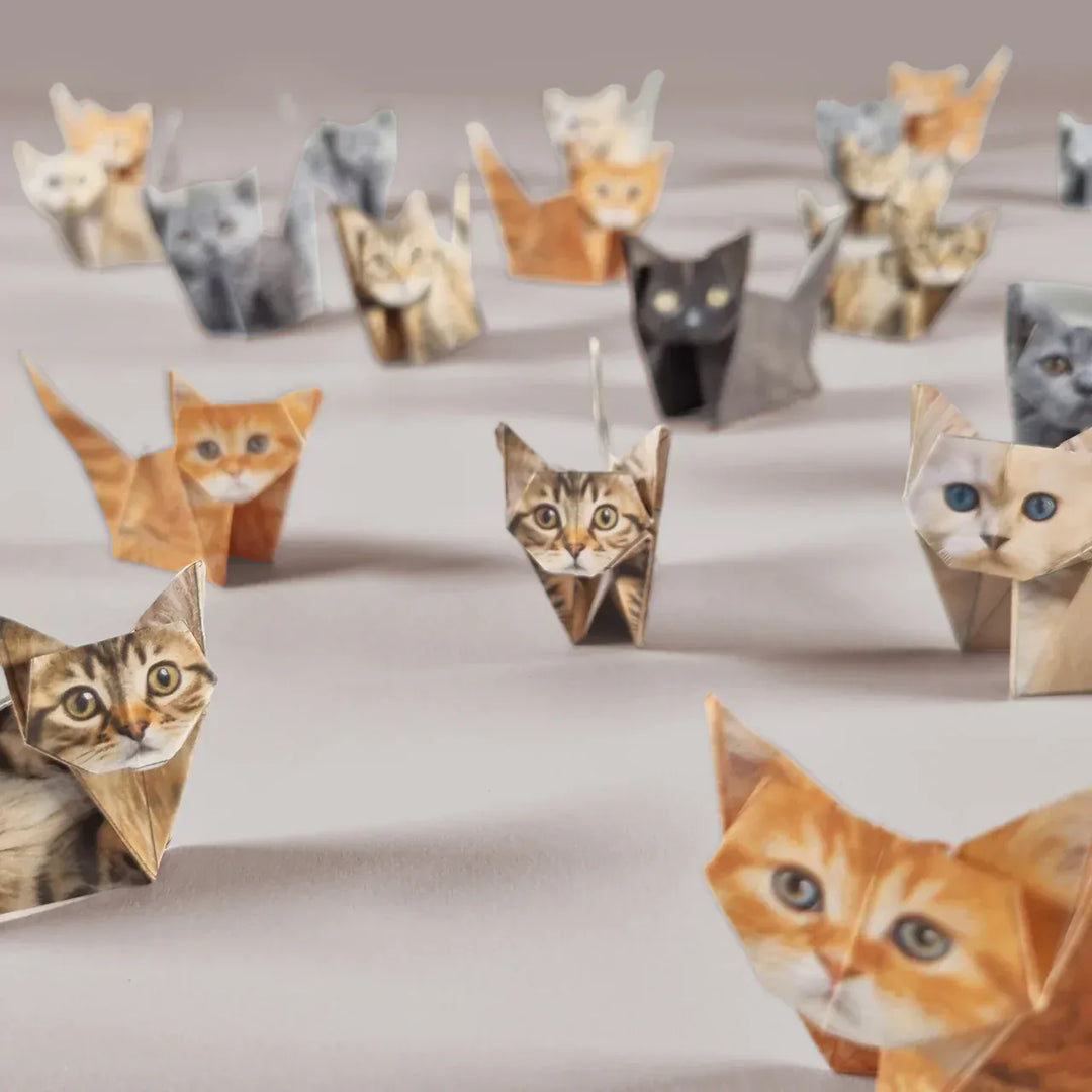 Pikkii Gifts Paper Cats Origami Kit
