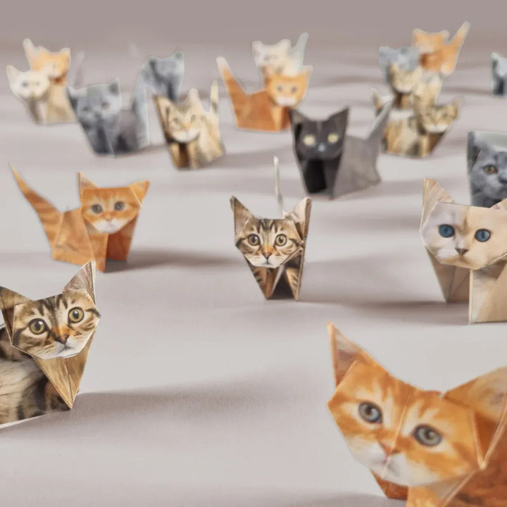 Pikkii Gifts Paper Cats Origami Kit