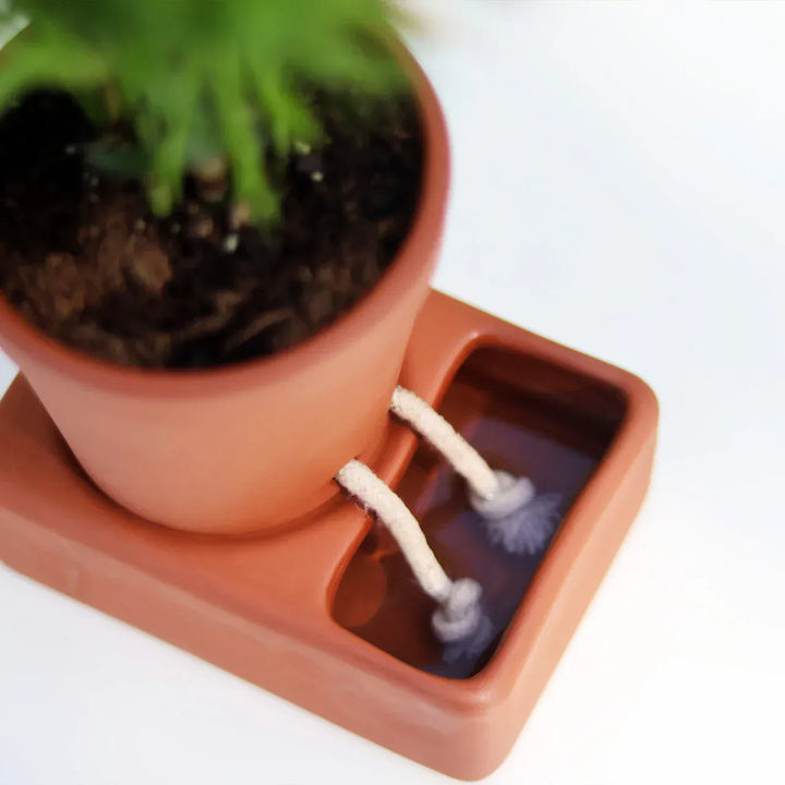 Pikkii Plants Self Care Planter