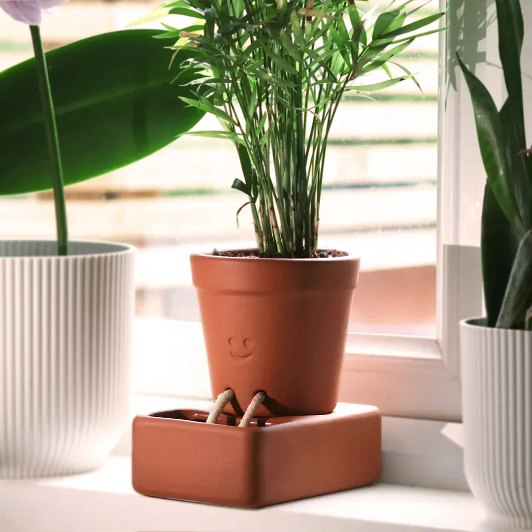 Pikkii Plants Self Care Planter