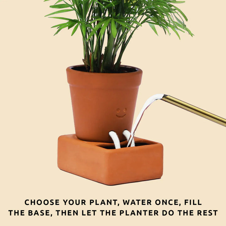 Pikkii Plants Self Care Planter