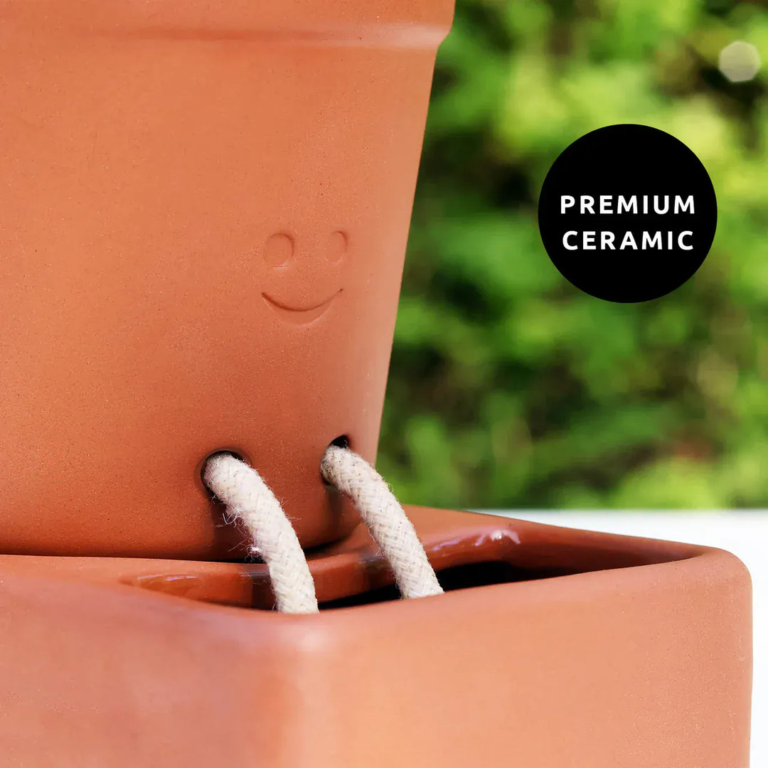 Pikkii Plants Self Care Planter