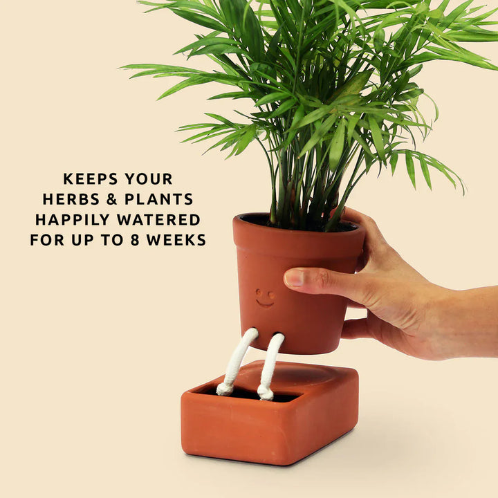 Pikkii Plants Self Care Planter