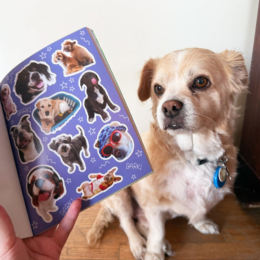 Pipsticks Cards Dog-gone Adorable Dog Sticker Book | Pipsticks
