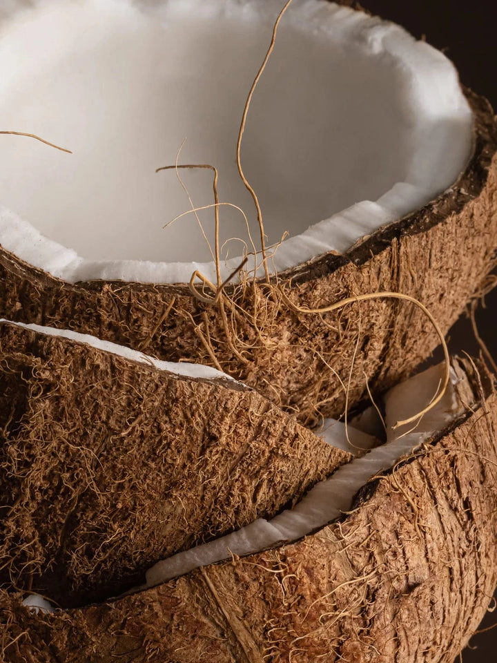 Pura Scents Gifts Coconut Calm Home Fragrance Diffuser Oil