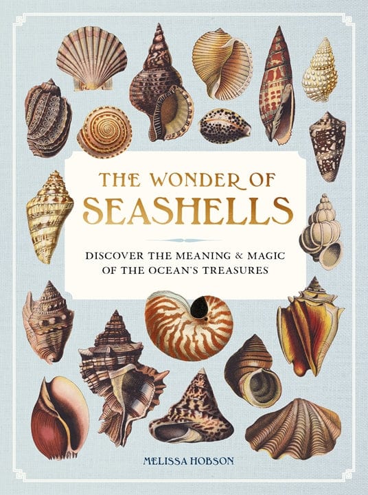 Quarto Gifts The Wonder of Seashells