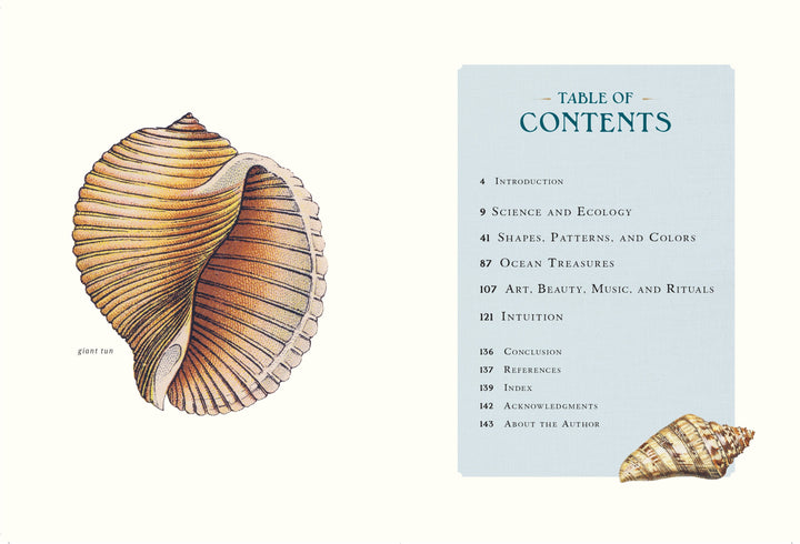 Quarto Gifts The Wonder of Seashells