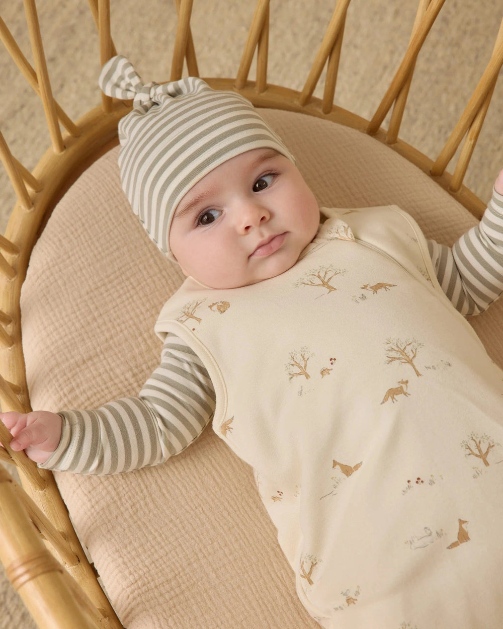 Quincy Mae Baby Jersey Bodysuit, 2 Pack - Fox Land, Fern Stripe