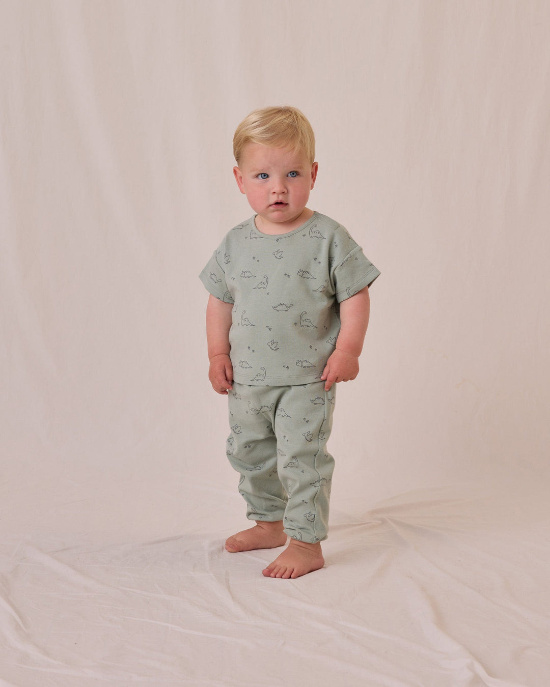 Quincy Mae Baby Jersey Tee + Pant Set - Dino