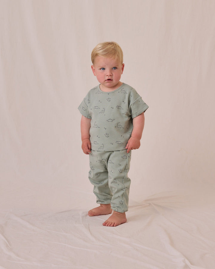 Quincy Mae Baby Jersey Tee + Pant Set - Dino