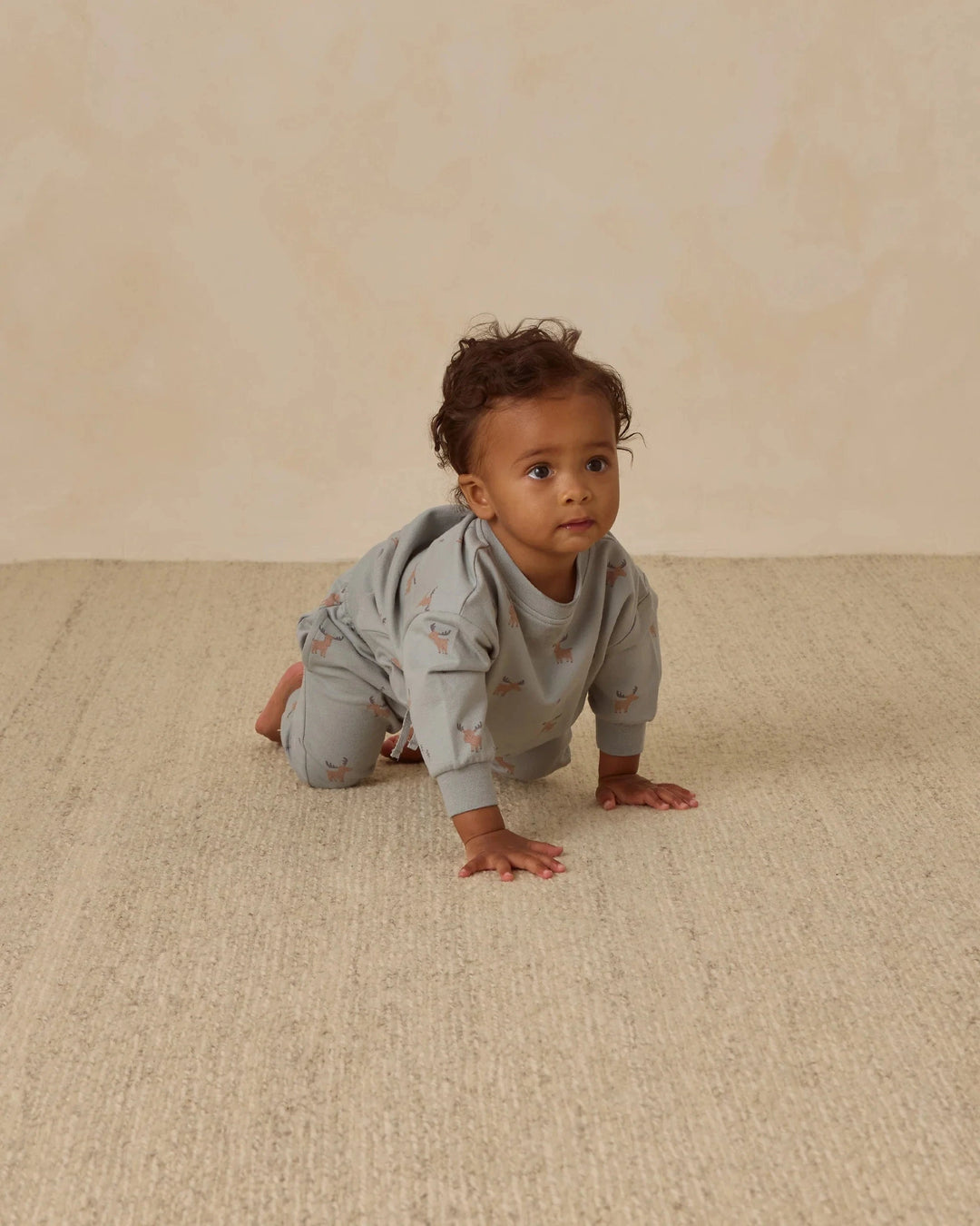 Quincy Mae Baby Relaxed Sweatshirt - Moose